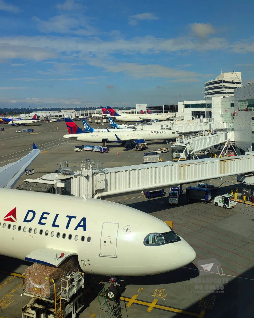 Seattle Airport Shuttle Service