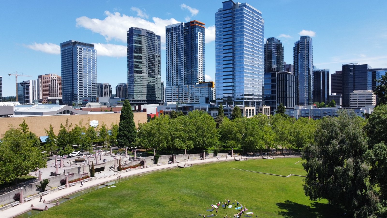 Professional car service in Bellevue business district