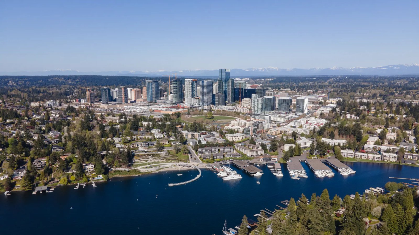 Luxury transportation service in downtown Bellevue