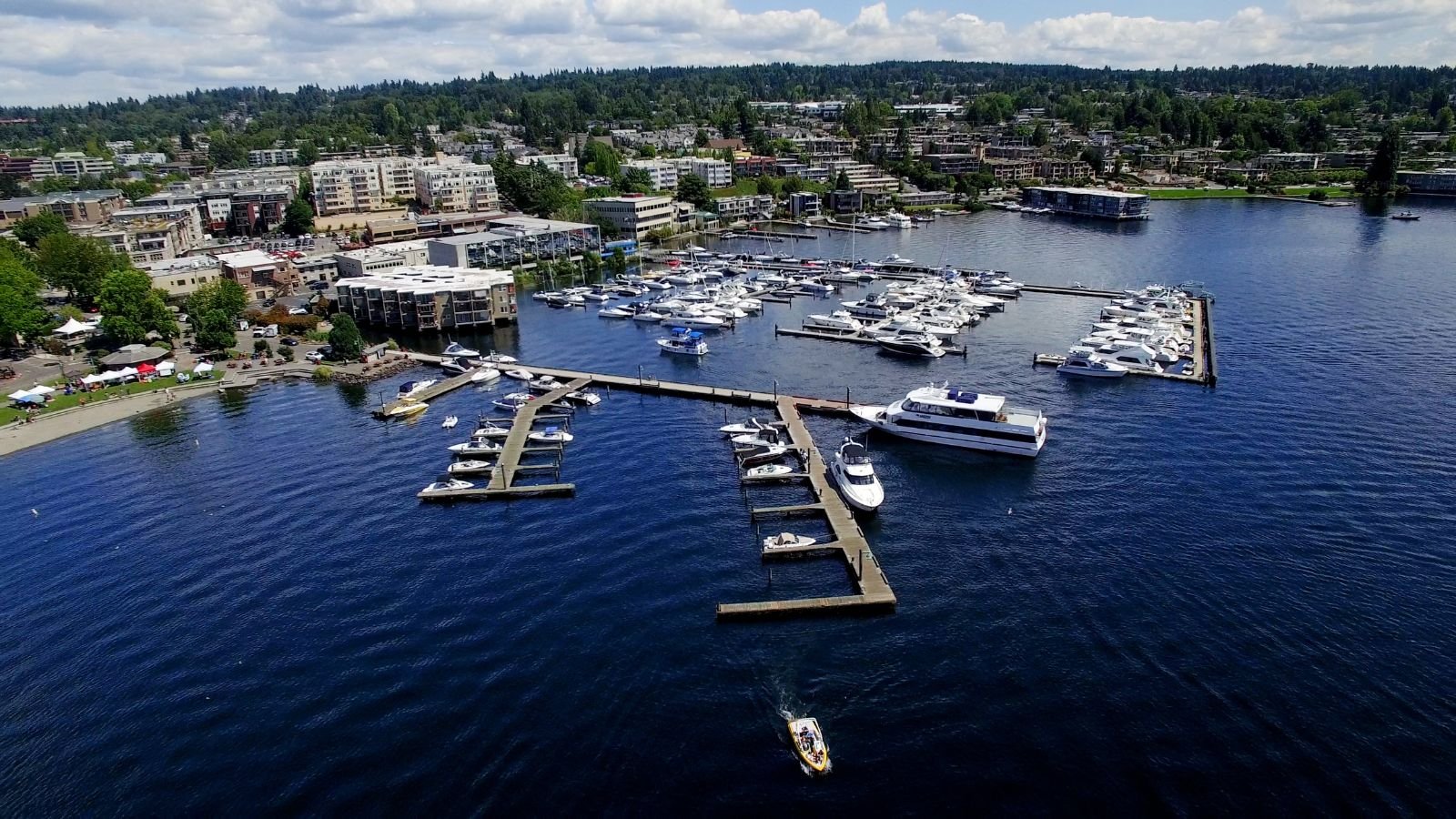 Professional car service near Kirkland Marina Park