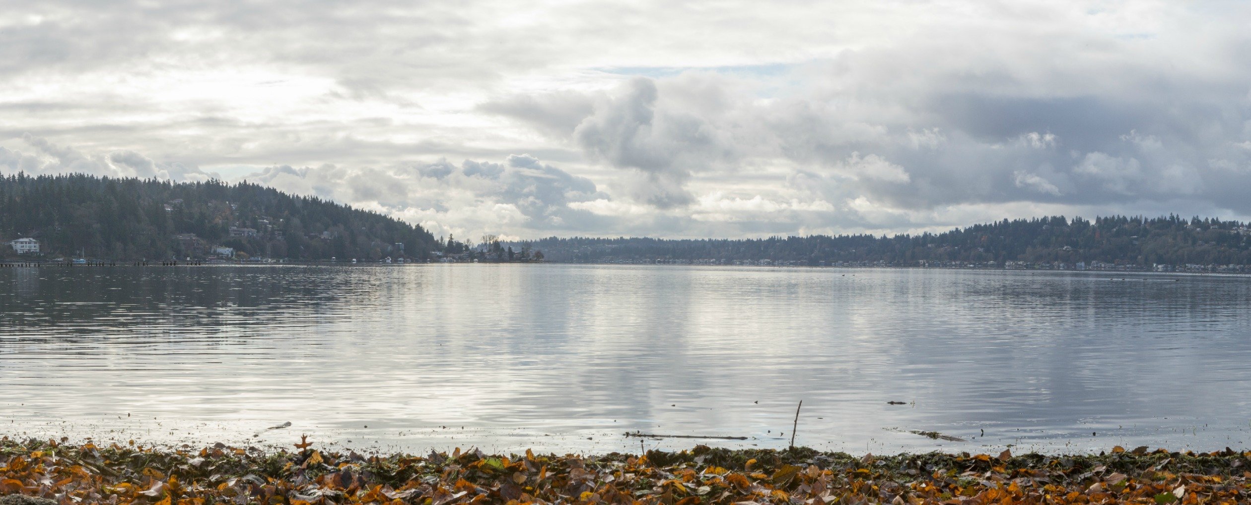 Lake Washington northern shoreline with Kenmore seaplanes, waterfront homes, and Mt. Rainier view