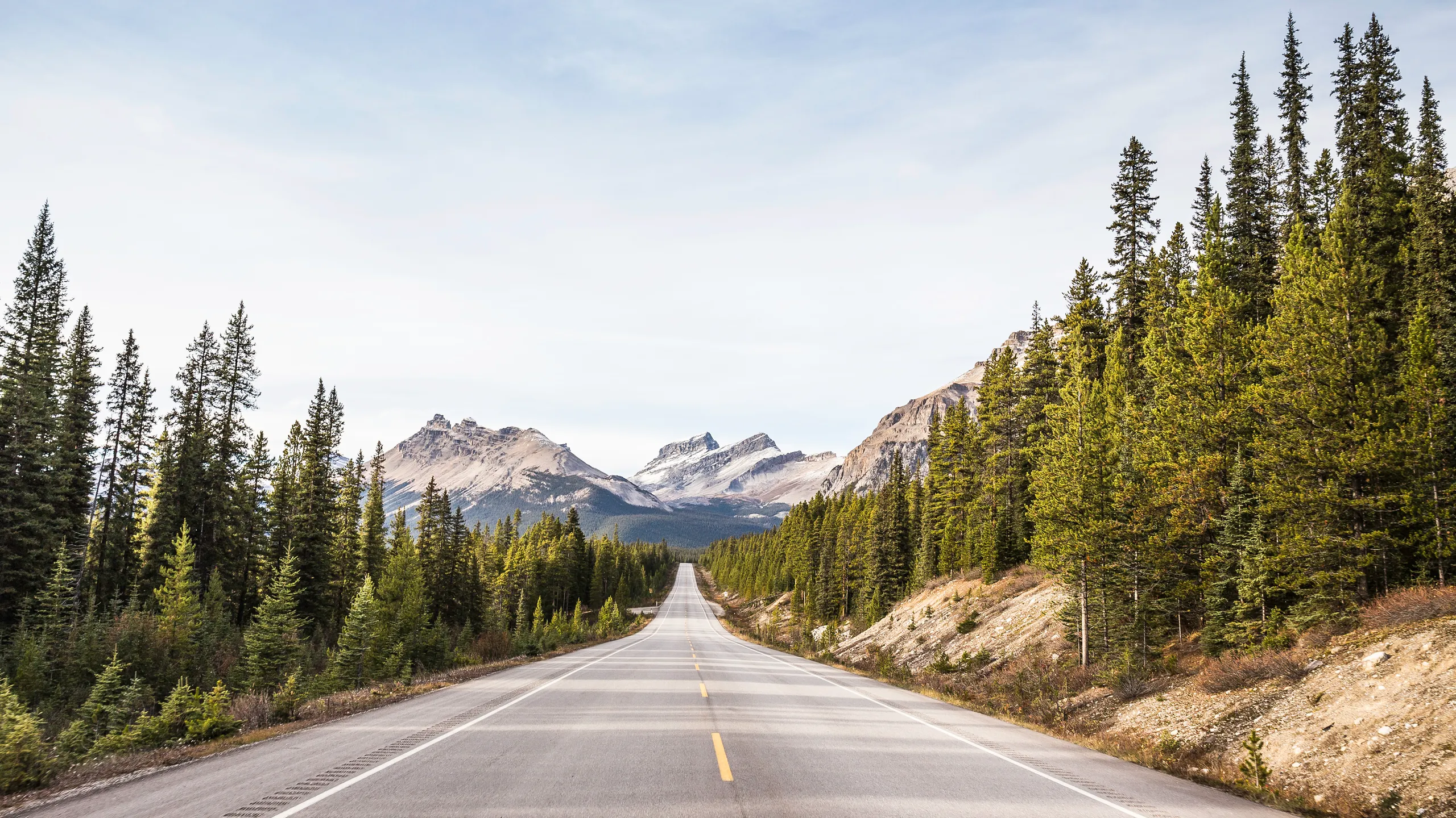 Long Distance Car Service Seattle
