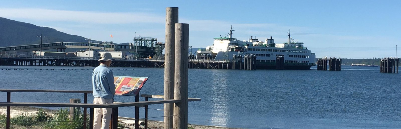 Washington state collage showing Anacortes ferry, Yakima vineyards, Olympic coast, and Cascade mountains